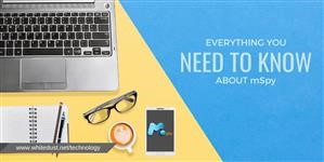 Does Mspy Really Work