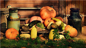 Mspy Premium Apk Mod