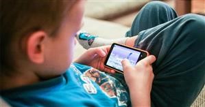 Cost of Mspy Software